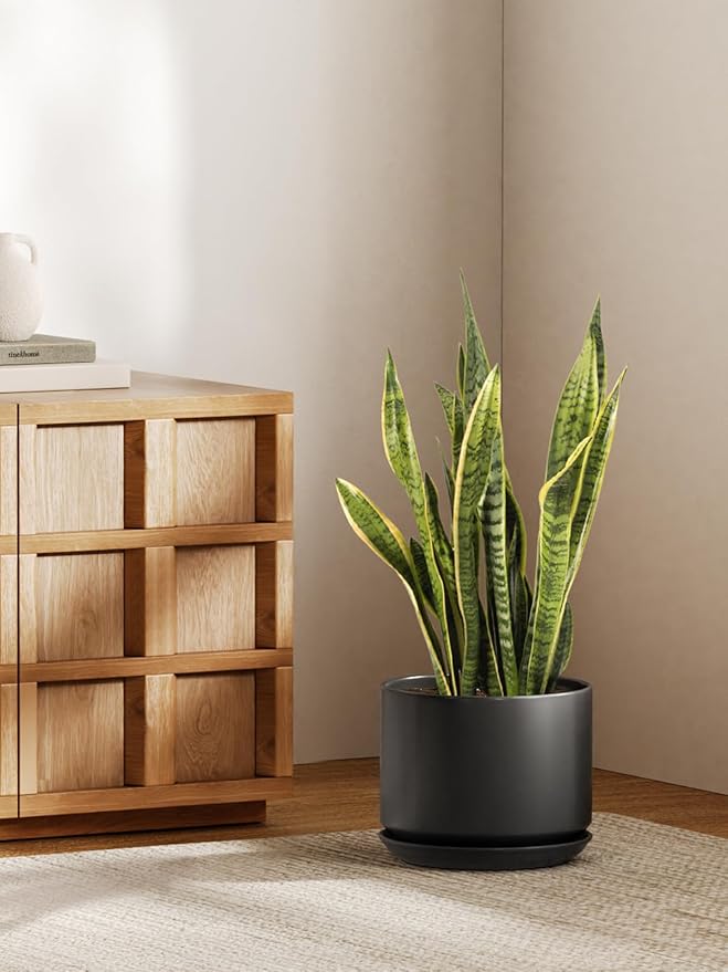 LE TAUCI Ceramic Pots for Plants, 10 Inch Plant Pot with Drainage Hole & Saucer, Sturdy & Modern Planters for Indoor Plants, Includes Mesh Screen, Fits Snake Plant & Monstera, Black
