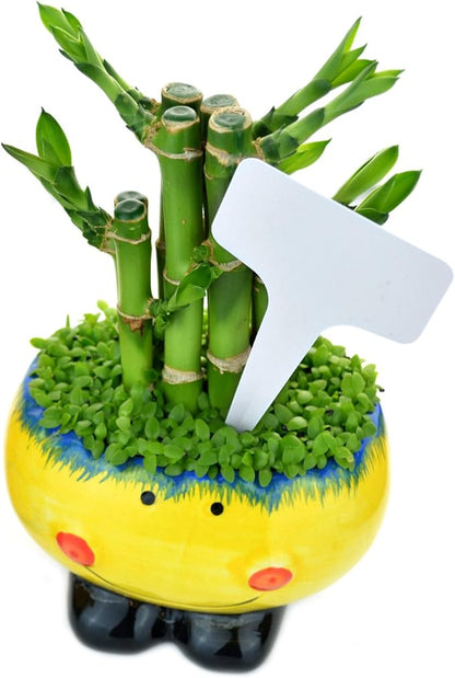 Ishua 100pcs 2.36"x3.94" inch（6 x10 cm) Plastic Plant T-Type Tags Markers Nursery Garden Labels