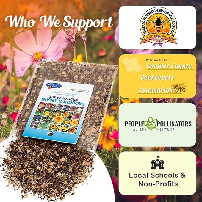 Drought Tolerant Wildflower Seeds - 4oz Packet, Open-Pollinated Bulk Flower Seed Mix for Beautiful Perennial, Annual Garden Flowers - No Fillers - 1/4 Pound