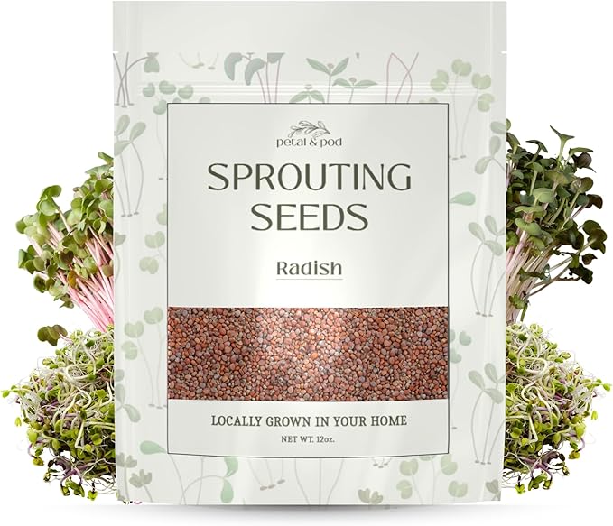 Petal & Pod Microgreens & Sprouting Seeds (12oz) - Radish - Seeds for MicroGreens Growing Kit and Sprouting Jars