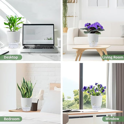6 Inch Self Watering Planter Pots for Indoor Plants, 3 Packs African Violet Pots with Wick Rope and Visible Reservoir Self Watering Planter for Herb, Houseplants