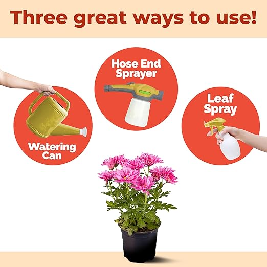 Mum Fertilizer, Complete Liquid Mum Plant Food for All Chrysanthemum, 32 oz (1 Quart)