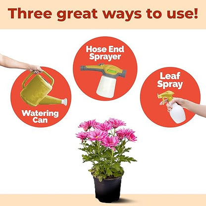 Mum Fertilizer, Complete Liquid Mum Plant Food for All Chrysanthemum, 32 oz (1 Quart)