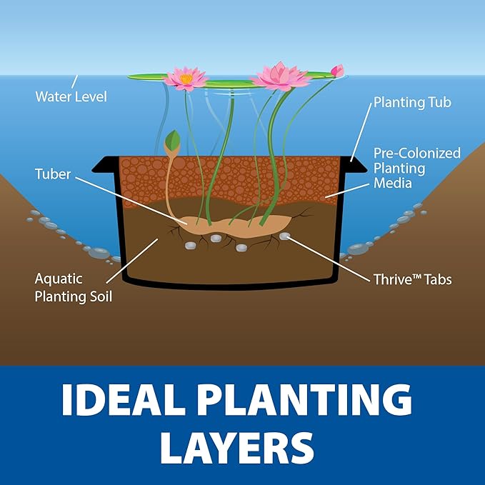 The Pond Guy Planting Tub Kit for Aquatic Plants with Soil & Media, Outdoor Water Garden Planter Pot for Lily, Lotus & Bog Plants, Large Tub Kit