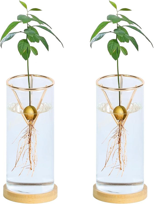 2 Pack Avocado Tree Growing Kits - Avocado Growing Vase - Avocado Seed Starter Vase Glass Plant Pot Easy Seed Sprout Starter Gift for Women Gardening Lovers Home Office Table Decoration (Gold)