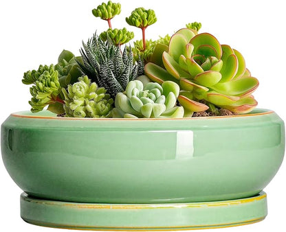 Succulent Pots 6 Inch - Ceramic Bonsai Pots for Indoor Outdoor, Shallow Ceramic Planters with Drainage Hole and Saucer, Round Small Bonsai Tree Pot, Home Decor, Plant Lover Gift, Light Green