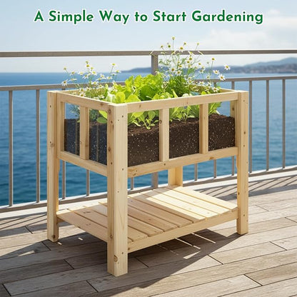 Raised Garden Bed with Transparent Acrylic Side Panels, Elevated Wooden Planter Box with Shelf for Vegetables, Herbs & Flowers,Outdoor Raised Garden Planter for Patio, Balcony & Backyard