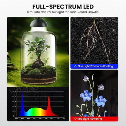 Glass Plant Terrarium with LED Light & Ventilation, Large Terrarium for Venus Fly Trap Live Plant with Ventilation, for Plants Ideal for Succulents, Home Office Desk Decor,8.2" Tall