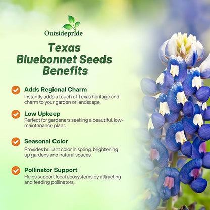 Outsidepride Texas Bluebonnet Seeds - 500 Pcs Annual Lupinus Texensis, Heirloom Quality, Drought-Tolerant Wildflower Seeds w/Blue Blooms for Vibrant Spring Displays, Landscape, & Attracts Pollinators