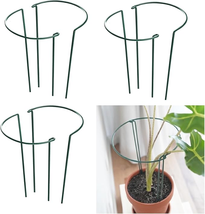 6 Pack 13.8 Inch High Plant Stake,Garden Plant Support,Half-Round Peony Cage Plant Ring Hoop