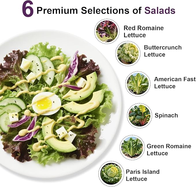Salad Greens Seed Pod Kit for AeroGarden, iDoo, Ahopegarden, MUFGA with Red/Green Romain/American Fast/Buttercrunch/Parris Island Lettuce, Spinach - Compatible with All Garden(8-Pod)