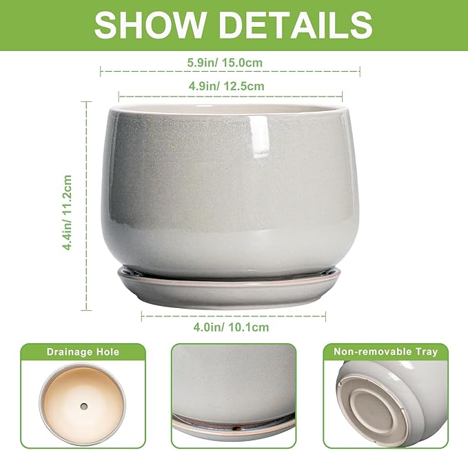 G EPGardening Ceramic Pots for Plants - 6 Inch Plant Pot with Drainage and Ceramic Tray, Modern Succulent Pots, Round Planters for Indoor Plants, Living Room Decor, Gifts for Plant Lovers, Light Grey