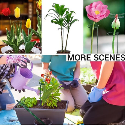 10 pcs 16 inch Metal Single Stem Flower Plant Support Stakes and Rings for Amaryllis Orchid Lily Sunflower Rose Narcissus