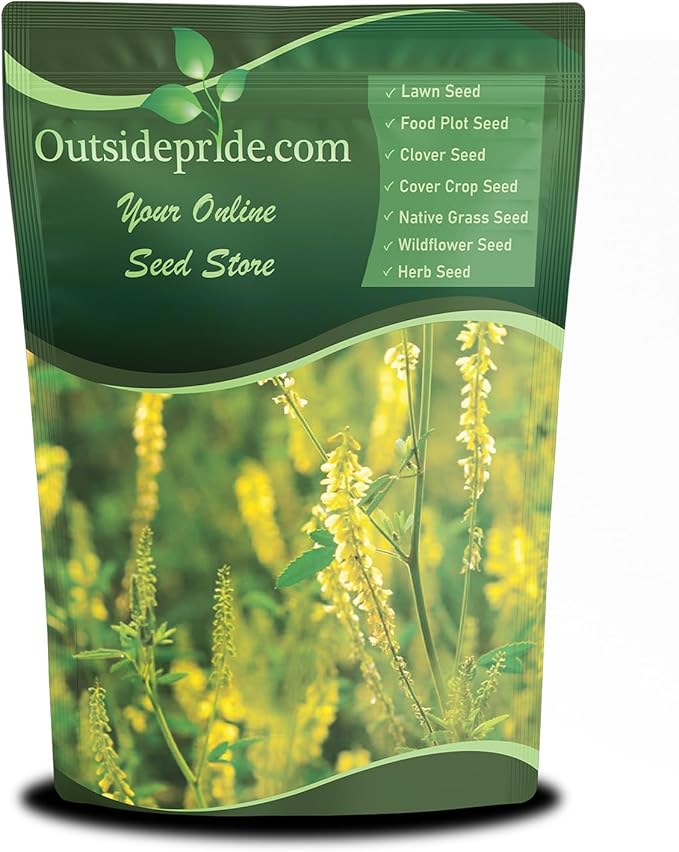 Outsidepride Yellow Sweet Clover Seed - 10 lbs Biennial, Drought-Tolerant, Frost-Resistant, Nitrocoated, Inoculated Yellow Clover Seeds Cover Crop for Forage, Honey Production, & Pollinators