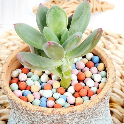 6LBS Garden Ceramsite, Clay Pebbles, Diameter 8-10mm, Horticultural Grade for Soil Hydroponics Aquaponics