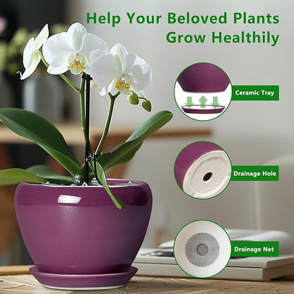10 Inch Plant Pot - Ceramic Planter with Drainage Hole and Saucer, Round Modern Flower Pot for Indoor Outdoor Plants, Housewarming Gift, Home Garden Decor, Purple