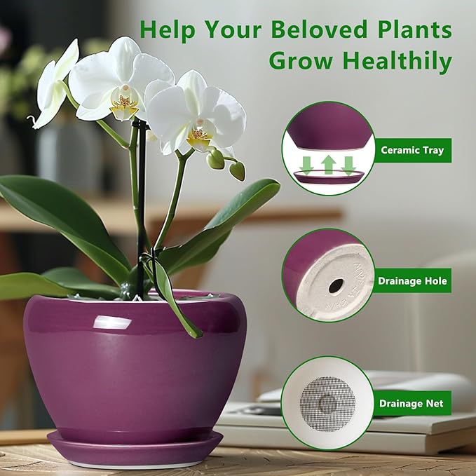 Ceramic Pots for Plants 6 Inch - Ceramic Plant Pots with Drainage Hole and Saucer, Glaze Round Planter for Succulent Plants, Gifts for Plant Lovers, Garden Home Decor, Purple