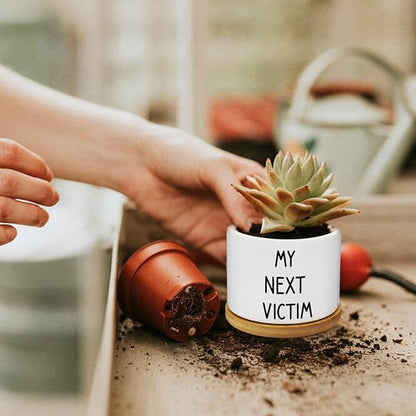 12 Pcs Funny Succulent Pots with Bamboo Tray White Ceramic Aloe Cactus Plant Pots Funny Plant Pots for Women Coworker Employee