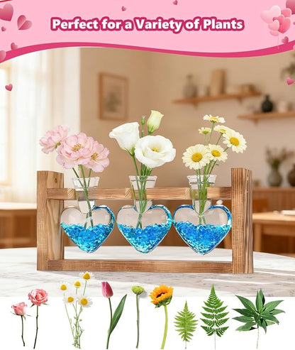 Nacome Plant Terrarium Propagation Stations: Birthday Gifts for Plant Lovers Women Mom Wife Daughter - 3 Bulb Glass Vase with Wooden Stand Tabletop for Hydroponics Home Garden Wall Decor