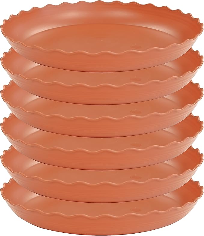 6 Pack Plant Saucer 10 inch, Heavy Duty Plastic Plant Saucers, Durable Plant Tray for Pots, Flower Saucers for Indoors, Plant Pot Saucers, Trays for Planter (Terracotta)