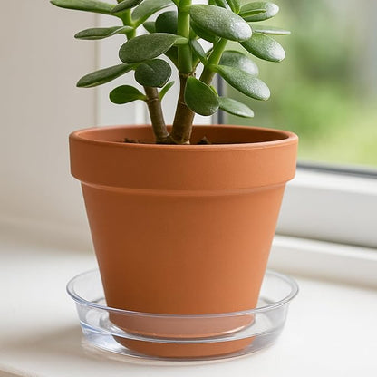 Curtis Wagner Plastics Drip Pan Plant Saucers (5-Pack) - Clear, Round (Diameter: 7" Base, 8" Top, 1.25" Depth) Thin Plastic Planter to be Used as Indoor Pot & for Outdoor Plant Pots