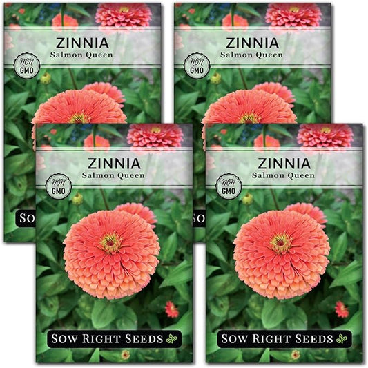 Sow Right Seeds - Salmon Queen Zinnia Seeds for Planting - Non-GMO Heirloom Packet to Plant & Grow an Outdoor Home Flower Garden - Annual, Giant Pink Blooms to Cut and Come Again (4)
