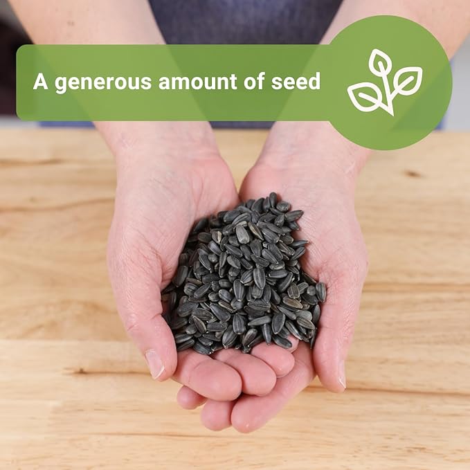 Sow Right Seeds - Bulk Sunflower Microgreen Seeds for Growing - 2 Ounce, 1000 Seeds - Non-GMO Heirloom Jumbo Pack with Instructions to Grow Healthy Microgreens - Grow Loads of Sunflower Microgreens