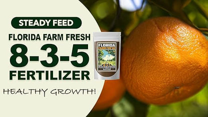 Fertilizer Commercial Grade | Florida Farm Fresh Organic 8-3-5 | 5 Ounces | Granular Slow Release Feed | Nitrogen Source | Lawns Vegetables Fruits Beds Borders Shrubs Ornamentals | 7–8 Month Coverage