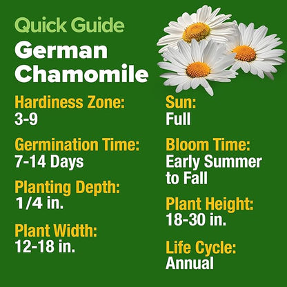 HOME GROWN German Chamomile Seed Pack – 4,560 Heirloom Seeds for Planting for Sustainable Gardens and Soothing Medicinal Herbal Teas (Matricaria chamomilla)