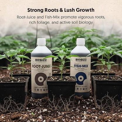 BioBizz All·Pack Outdoor - Complete Organic Nutrient Kit (6 x 16.9 fl oz) | Natural Fertilizer for Outdoor Plants, Soil Enhancer, Root & Bloom Booster for Garden Growth