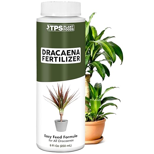 Dracaena Fertilizer - Liquid Plant Food for All Dracaena Plants and Trees, 8 oz