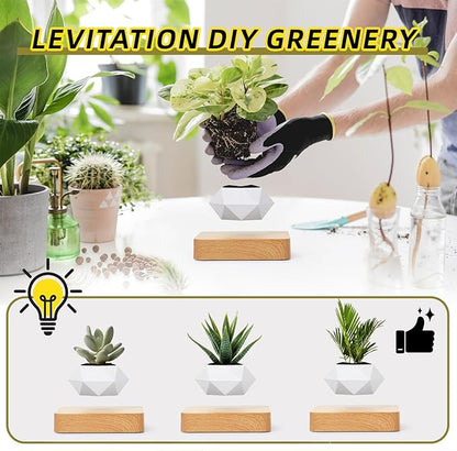 Levitating Plant Pot, Magnetic Levitation Flower Pot Suspension Floating Plant Succulents, Air Bonsai Potted Plant for Home Decoration, Living Room, Office, Desk (White)