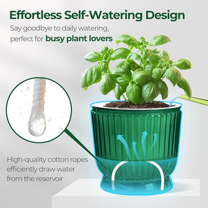 T4U 6 Inch Self Watering Pots for Indoor Plants, 4 Pack Self Watering Planter, Self Watering Pot with Reservoir, Small Self Watering Pots for Plants, African Violets (4 Pack, 6", Translucent Green)