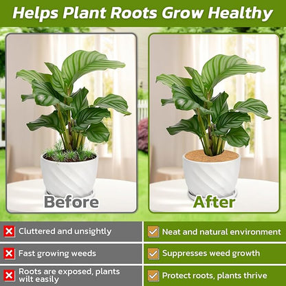 Legigo 20pcs Coconut Fiber Mulch Ring Tree Plant Protector Mat, 11.8 Inch Natural Coco Coir Tree Protection Ring Plant Pot Soil Cover, Tree Rings Disc Plant Cover for Indoor Outdoor Plants,Landscaping