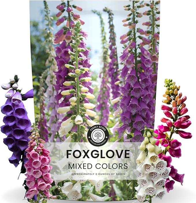 Foxglove Mixed Colors – 10,000 Seeds for Planting – 2026 Season – 2 Ounce Pouch