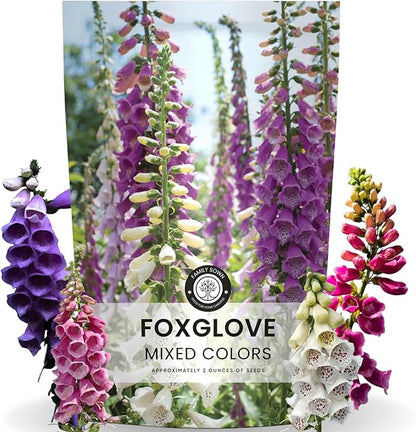 Foxglove Mixed Colors – 10,000 Seeds for Planting – 2026 Season – 2 Ounce Pouch