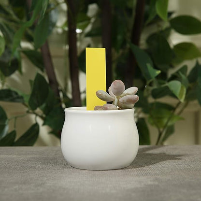 1000 Pcs Plant Tags, 4 Inch Plastic Garden Plant Pot Markers Waterproof Plant Labels, Yellow
