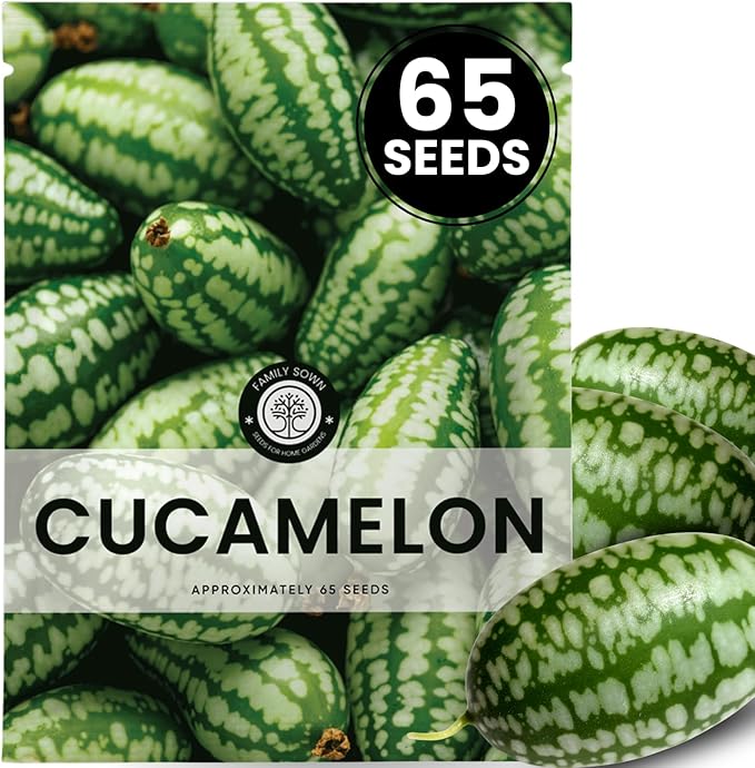 Cucamelon – 65 Premium Seeds for Planting – Mini Watermelon-Like Fruits for The 2026 Season – 200-Milligram Pouch