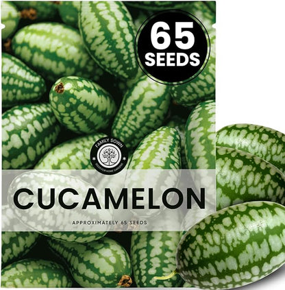Cucamelon – 65 Premium Seeds for Planting – Mini Watermelon-Like Fruits for The 2026 Season – 200-Milligram Pouch
