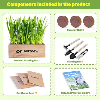 Cat Grass Kit for Indoor Cats - 3 Pack with Cat Grass Seeds, Nutrient Soil & Planter Pots | Complete Growing Set for Fresh Pet Grass (Non-GMO Wheat Grass)