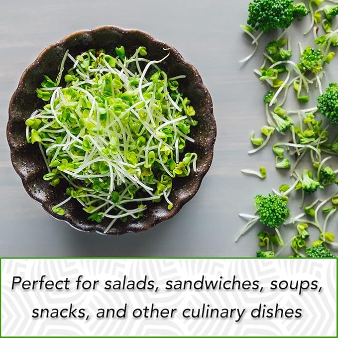 1 lb Broccoli Sprouting Seeds - Perfect for Sprouting & Microgreens, Rich in Sulforaphane, USA Grown (Resealable Bag)