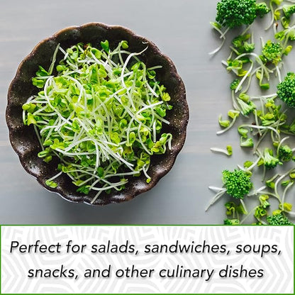 1 lb Broccoli Sprouting Seeds - Perfect for Sprouting & Microgreens, Rich in Sulforaphane, USA Grown (Resealable Bag)