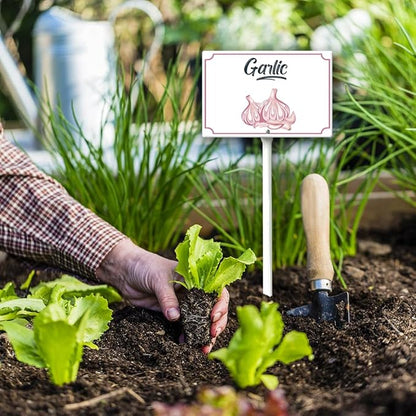 Boylee Aluminum Garden Signs With Stake - 8x12inch - Garlic - Modern Style - Weatherproof & Long Lasting