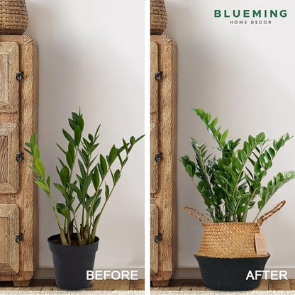 Blueming Home Wicker Plant Basket – Medium Seagrass Planter Pot for Faux Olive Trees or Houseplants, Decorative Woven Black Bottom Wicker Planter for Living Room, Shelf, or Entryway
