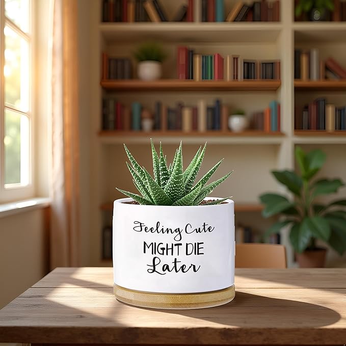 Funny planters for Indoor Plants Garden Succulent Pots, with Drainage Holes and Saucer(No Plants) (Feeling Cute Might Die Later)