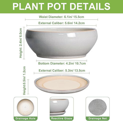 SQOWL Succulent Planters 6 Inch - Ceramic Bonsai Pots with Drainage Hole and Saucer, Shallow Planter for Indoor Plants Outdoor, Round Ceramic Pots for Plants Cactus, Room Decor, Garden Gifts, Gray