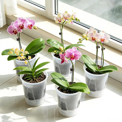 Plant Pots 6 inch Set of 5, Self Watering Pots for Indoor Outdoor, Upgraded Water Inlet Self Watering Planters Flower Pots with Drainage Hole and Clear Saucer Reservoir (Clear)