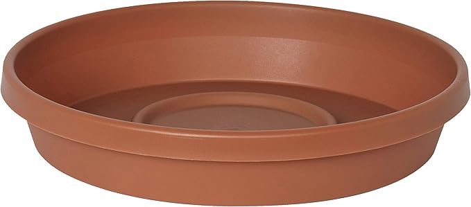 Bloem Terratray 1.7 in. H x 5.3 in. Dia. Resin Traditional Terracotta Clay Tray