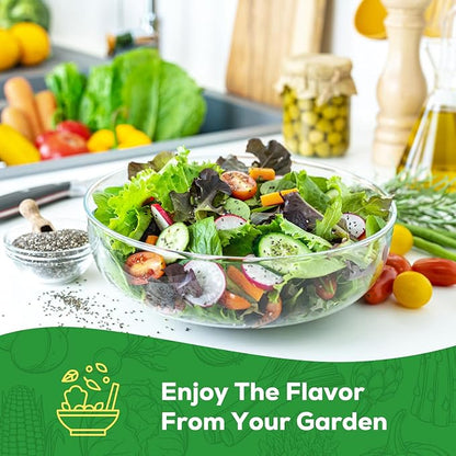 Heirloom Lettuce Seeds - 5 Varieties, Non-GMO Seeds for Planting - Black Seeded Simpson, Iceberg, Buttercrunch, Parris Island Cos & Lolla Rossa Lettuce - Home Garden & Hydroponic Seeds