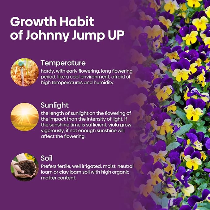 Johnny Jump Up Seeds, 10000+ Perennial Wild Violet Seeds for Planting, Edible Flowers, Non-GMO | Heirloom | Attracts pollinators, Grown in The USA